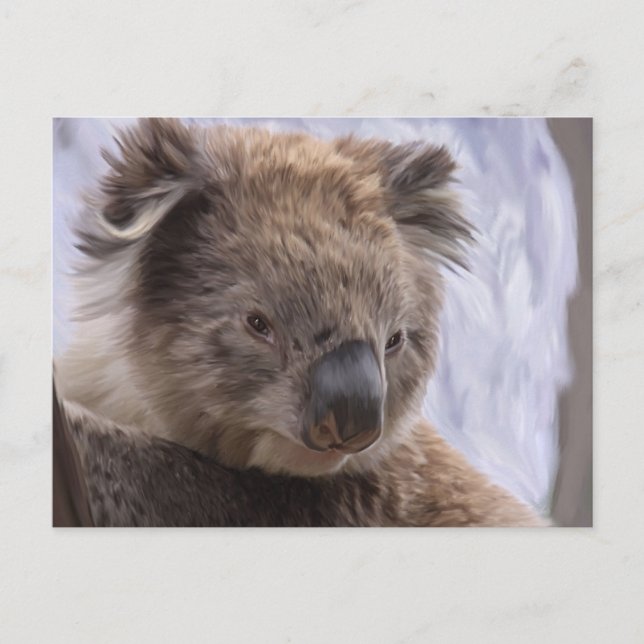 Koala Bear Postcard (Front)