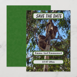 Koala Bear Save The Date Australia Style,