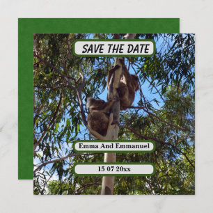 Koala Bear Save The Date Australia Style, Announcement
