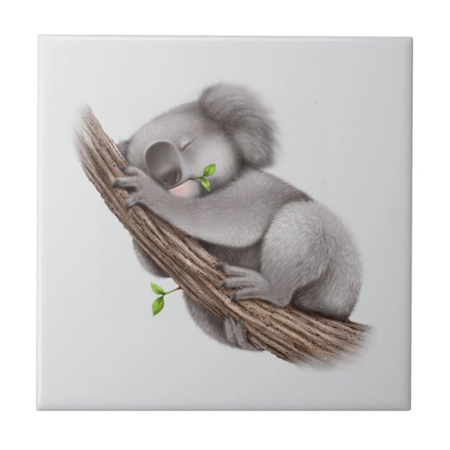 Koala Bear sleeping Ceramic Tile (Front)