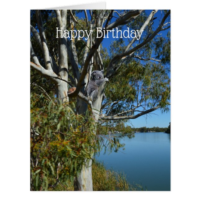 Koala Bear Sleeping In Gum Tree, Big Birthday Card (Front)