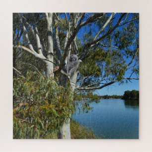 Koala Bear Sleeping In Gum Tree, Jigsaw Puzzle