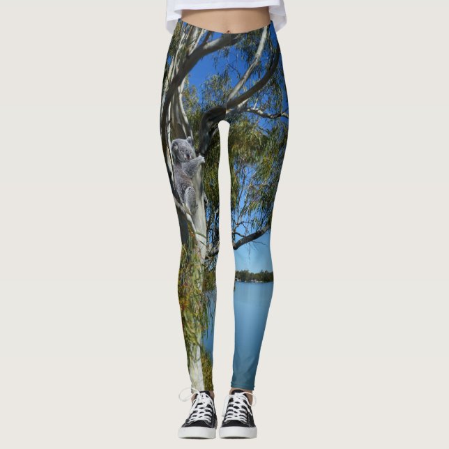Koala Bear Sleeping In Gum Tree, Leggings (Front)