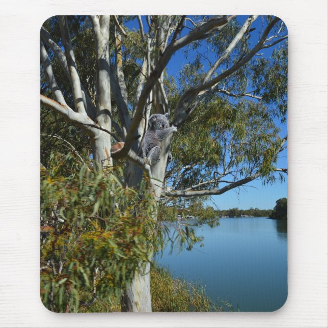 Koala Bear Sleeping In Gum Tree, Mouse Pad (Front)
