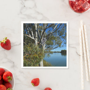 Koala Bear Sleeping In Gum Tree, Napkin