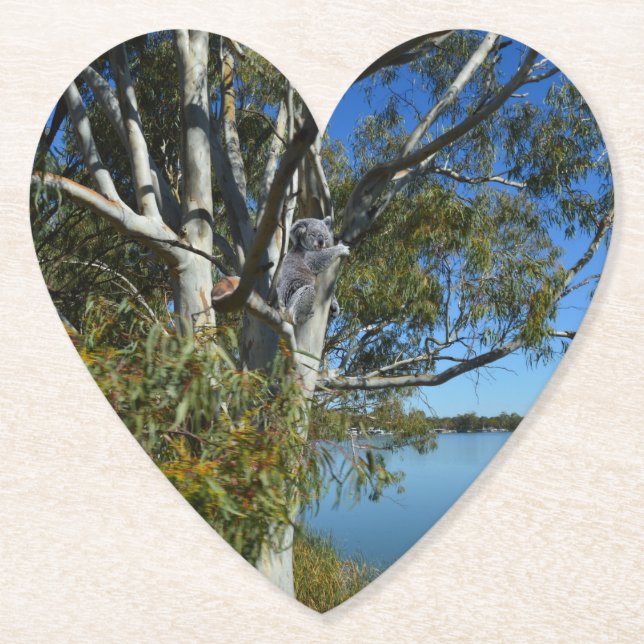 Koala Bear Sleeping In Gum Tree, Paper Coaster (Front)