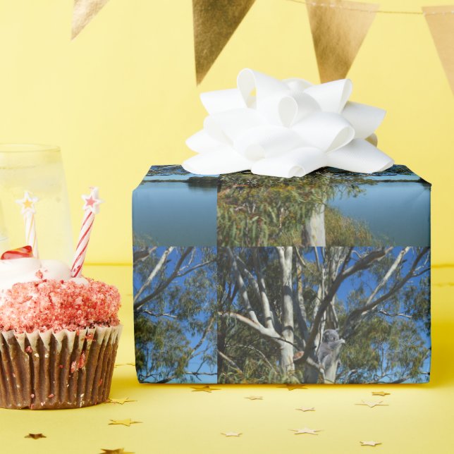 Koala Bear Sleeping In Gum Tree, Wrapping Paper (Birthday Party)