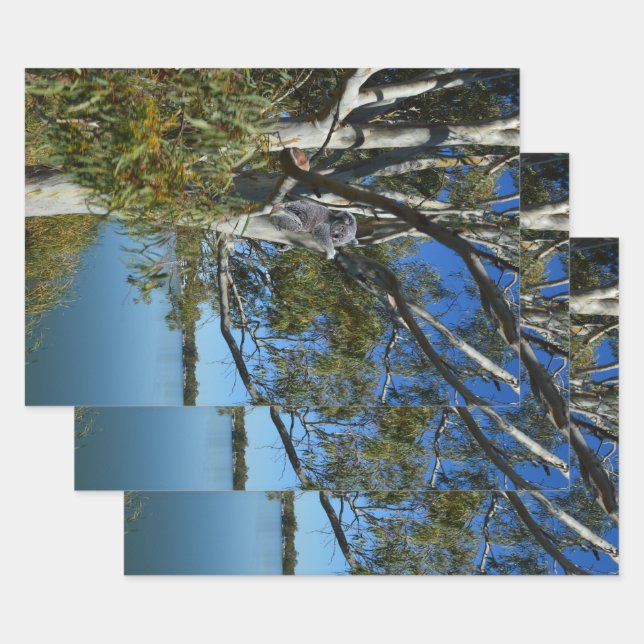 Koala Bear Sleeping In Gum Tree, Wrapping Paper Sheet (Set)