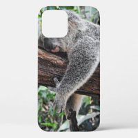 KOALA BEAR SLEEPING ON TREE