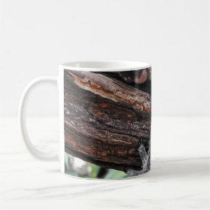 KOALA BEAR SLEEPING ON TREE COFFEE MUG