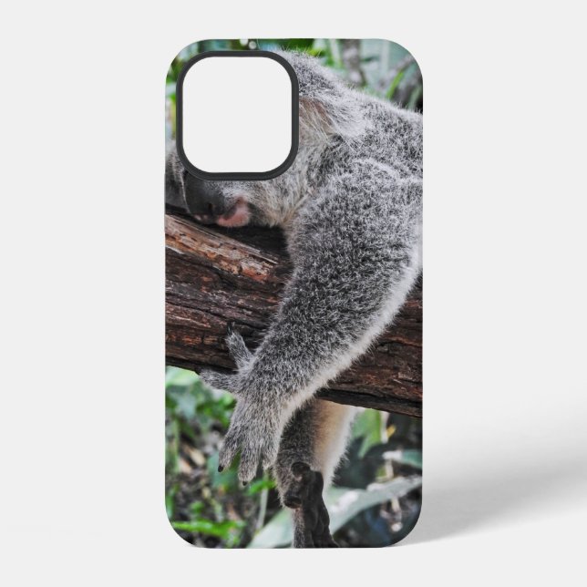 KOALA BEAR SLEEPING ON TREE iPhone CASE (Back)