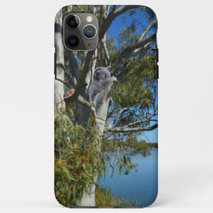 Koala Bear Sleeping River Murray Australia, iPhone 11 Pro Max Case