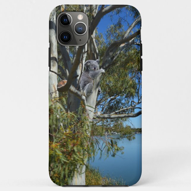 Koala Bear Sleeping River Murray Australia, Case-Mate iPhone Case (Back)