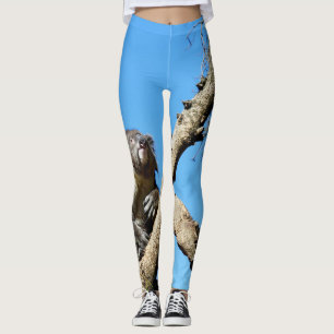 Koala Bear Time To Reflect On Life,  Leggings
