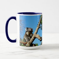 Koala Bear Time To Reflect On Life,