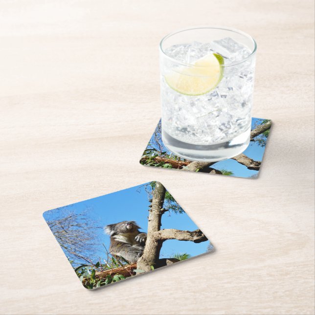 Koala Bear Time To Reflect On Life,  Square Paper Coaster (Insitu)