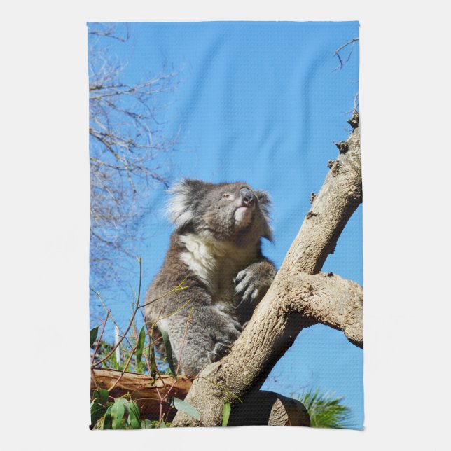 Koala Bear Time To Reflect On Life,  Tea Towel (Vertical)