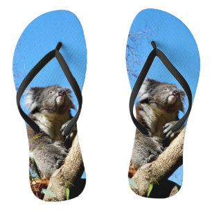 Koala Bear Time To Reflect On Life,  Thongs