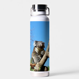 Koala Bear Time To Reflect On Life,  Water Bottle