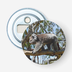 Koala Bear Walking On Tree Branch, Bottle Opener