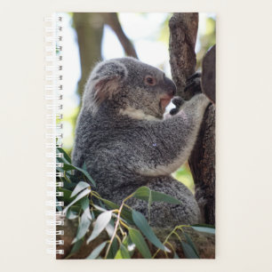 Koala Bear Weekly/Monthly Planner