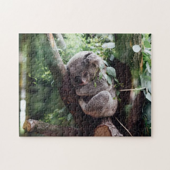 Koala Bear Wild Animal Sleeping On A Bamboo Tree Jigsaw Puzzle (Horizontal)