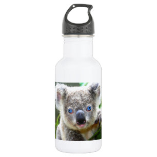 Koala Bears 532 Ml Water Bottle