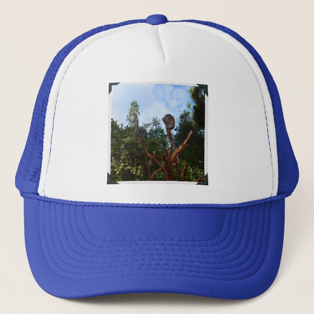 Koala Bears Asleep In Trees, Trucker Hat (Front)