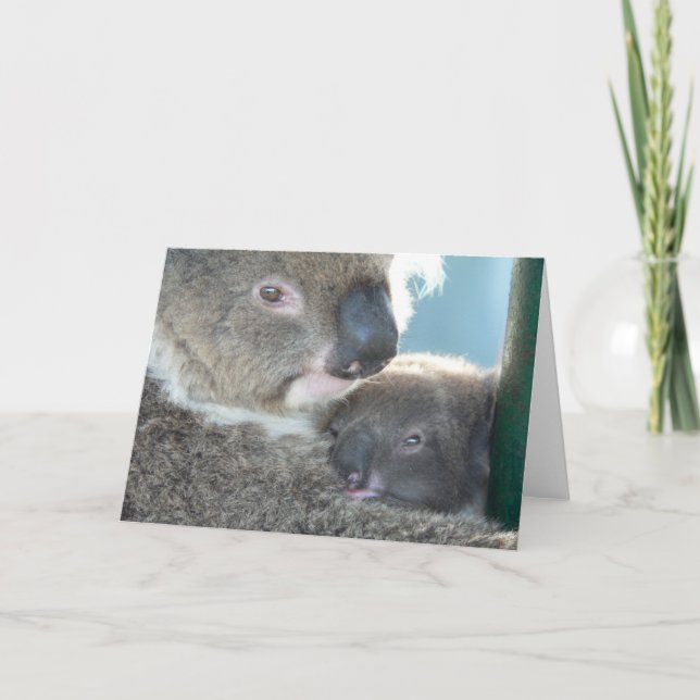 Koala Bears Card (Front)
