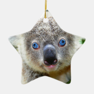 Koala Bears Ceramic Ornament