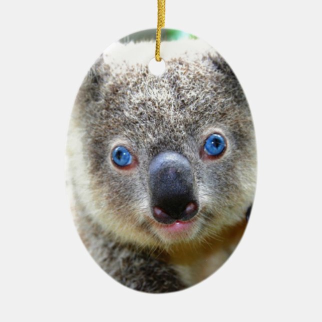 Koala Bears Ceramic Ornament (Front)