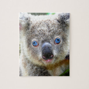 Koala Bears Jigsaw Puzzle