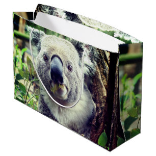 Koala Bears Large Gift Bag