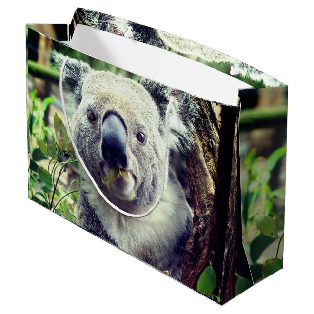 Koala Bears Large Gift Bag (Back Angled)