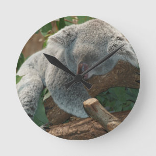 Koala Bears Love Animals Destiny Gifts Round Clock