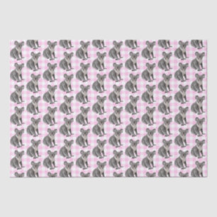 Koala Bears on Pink Gingham  Tissue Paper