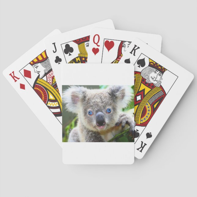 Koala Bears Playing Cards (Back)
