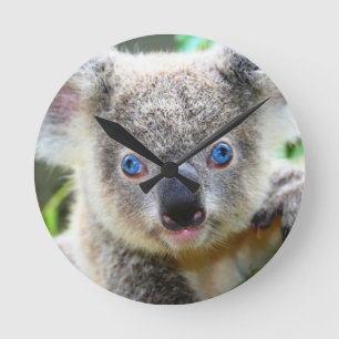 Koala Bears Round Clock