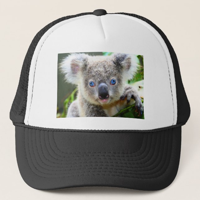 Koala Bears Trucker Hat (Front)