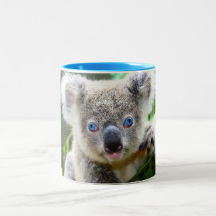 Koala Bears Two-Tone Coffee Mug