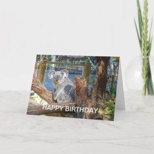 Koala Birthday Card
