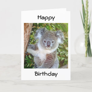 "KOALA BIRTHDAY GREETINGS" CARD