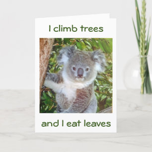 "KOALA BIRTHDAY GREETINGS" HE'LL EAT CAKE FOR YOU CARD
