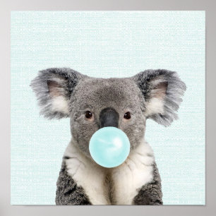Koala Blowing a Blue Bubble gum Poster