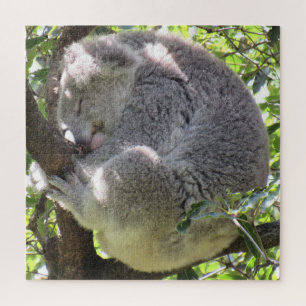 koala bundle jigsaw puzzle