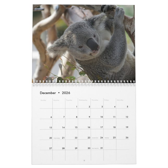 Koala Calendar (Dec 2026)