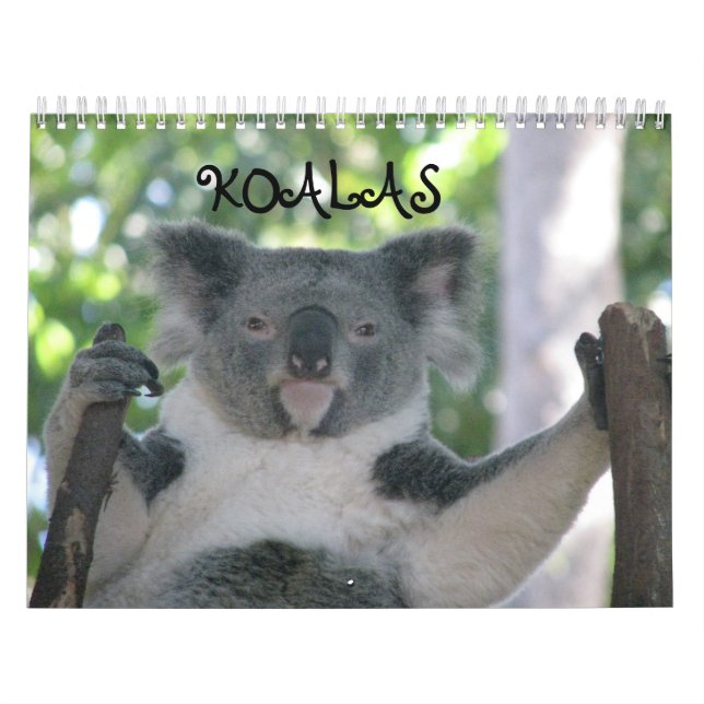 Koala Calendar (Cover)