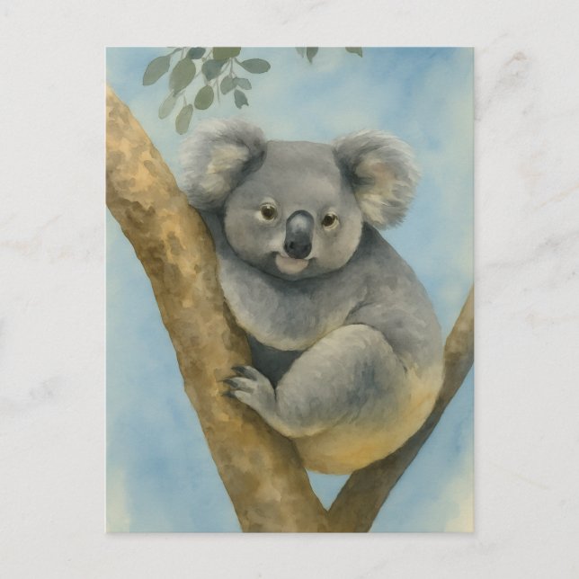 Koala Calm – Watercolor Wildlife Postcard (Front)
