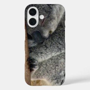 koala iPhone 16 case