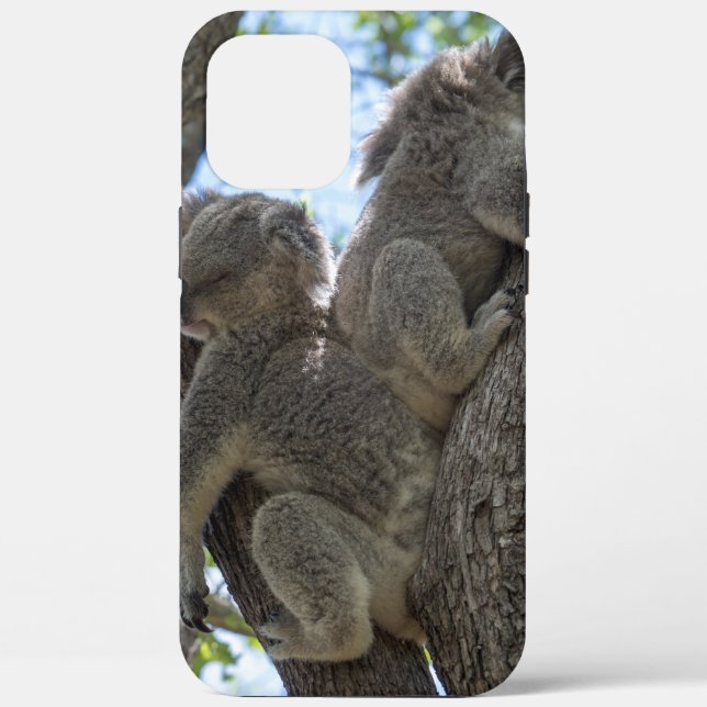 Koala Case-Mate iPhone Case (Back)